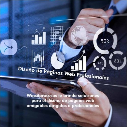 Plan de Diseño Web Profesional